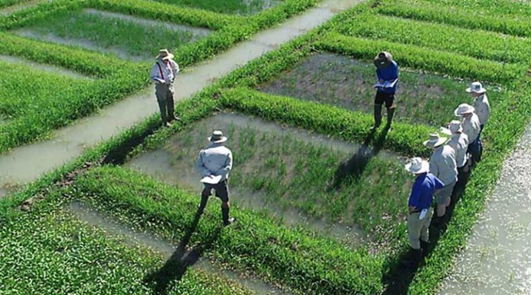Soil Health Card Scheme saved 8-10% of farmers cost