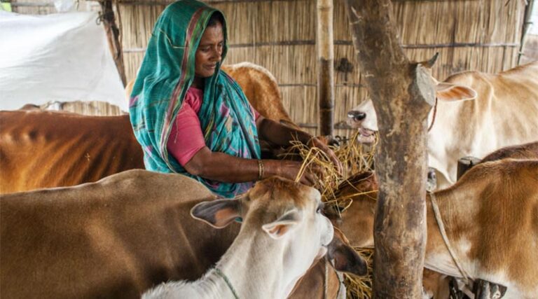 Spearheading the shift from disaster response to anticipatory action in agriculture