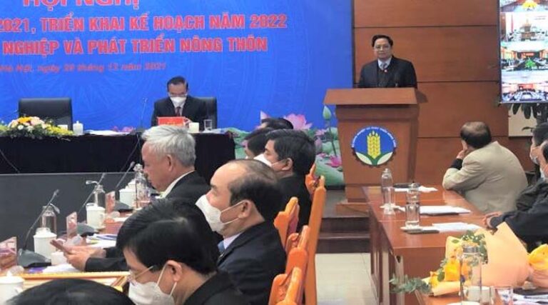 Agricultural, forestry and fishery export turnover reaches record high in 2021