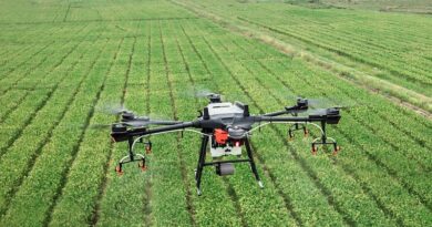 How AI based technologies can help Indian farmers