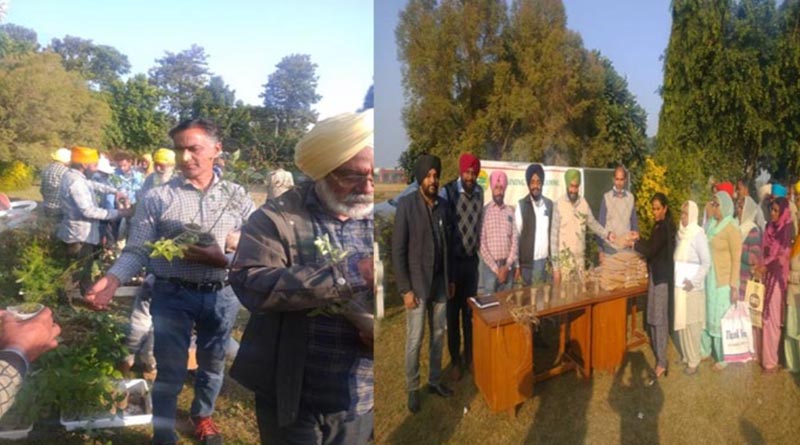 Training programme on cultivation and processing of aromatic & spice ...