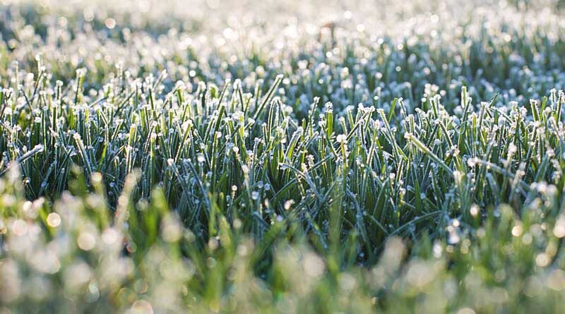 Advisory for frost release by Indore Agriculture Department