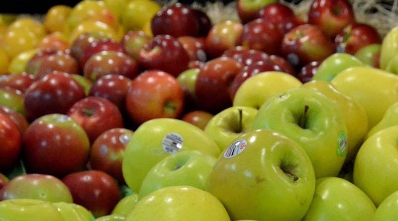 India imported more than 1 lakh crore of agriculture produce during 2020-21