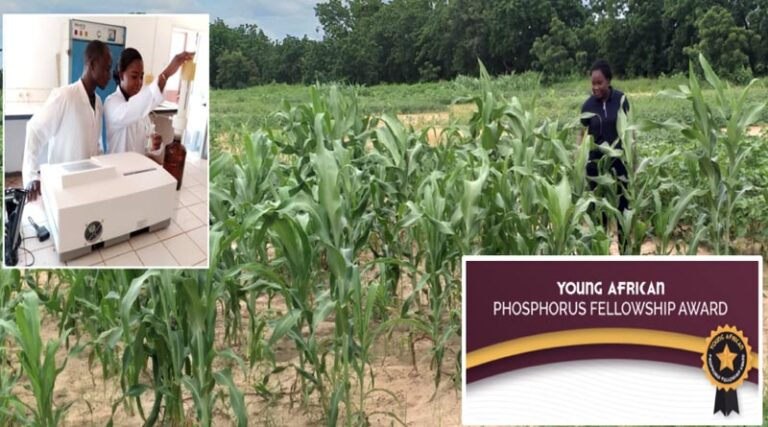 Burkina Faso Research Examines The Role Of Crop Management On Soil P Dynamics
