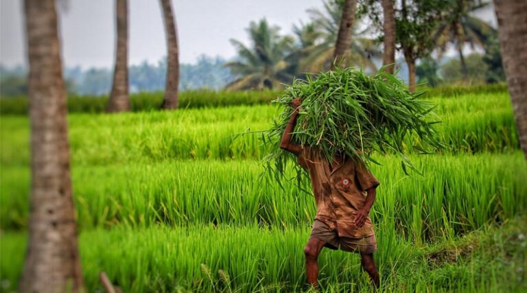 How is Indian government managing stubble burning incidences