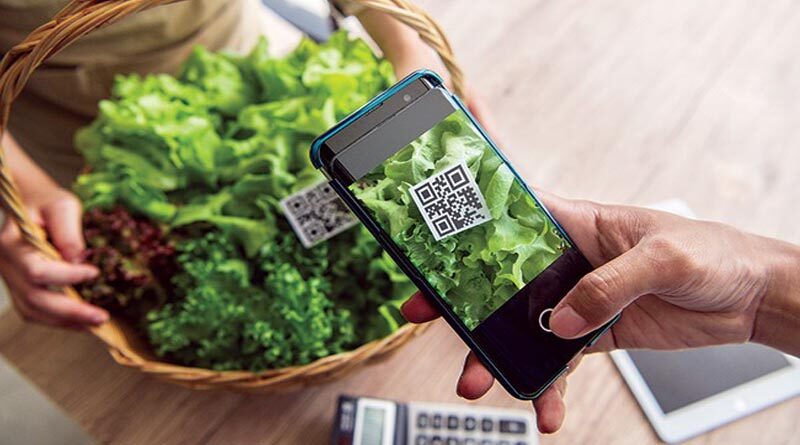 The issuance of planting area codes needs speeding up