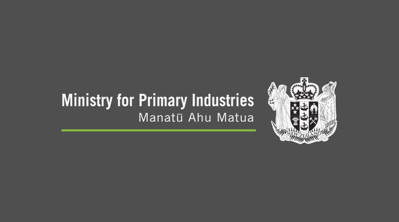 Pilot project aims to establish commercial seaweed farming sector in New Zealand