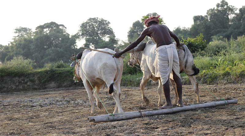 Investment by Indian government on Modernisation & Mechanisation of Agriculture