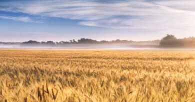 Action plan to improve rural living conditions