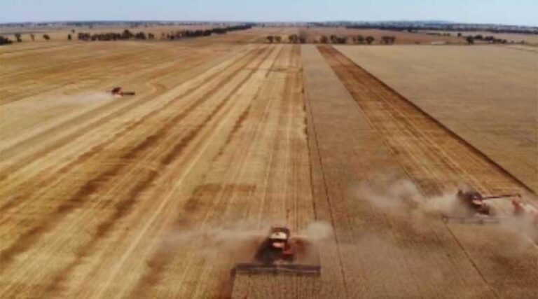 Australia: New research to reveal true cost of harvest losses to growers