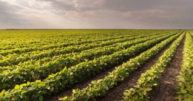Sri Lanka bans use of Glyphosate