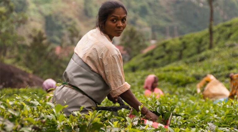 Various interventions and schemes launched for the benefit of Indian farmers