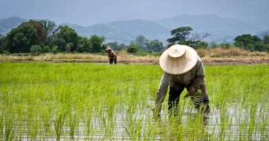 Thailand's Department of Internal Trade, Ministry of Commerce cut agrochemical prices upto 35 percent