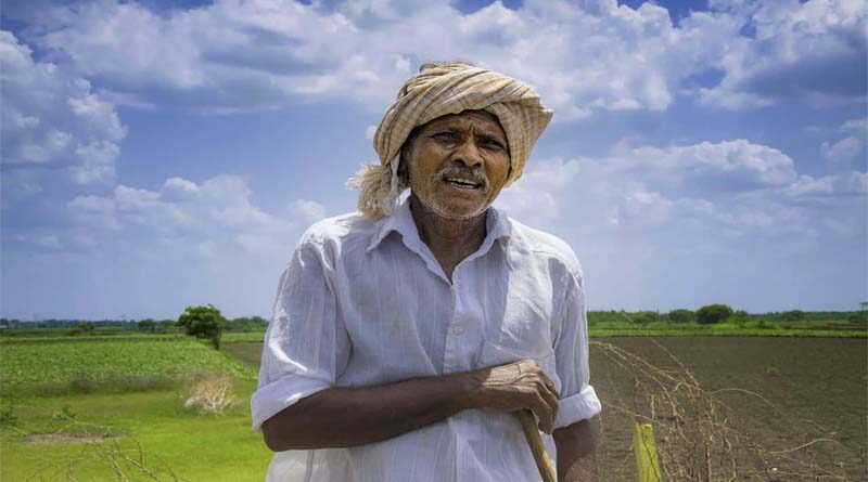 No Crop insurance for horticulture farmers of Madhya Pradesh for last 2 years
