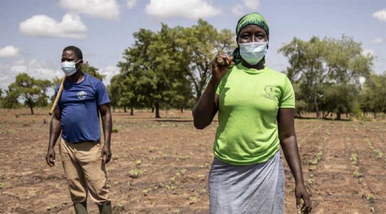 FAO welcomes $10 million USA contribution to its COVID-19 response efforts