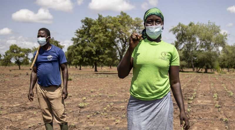 FAO welcomes $10 million USA contribution to its COVID-19 response efforts