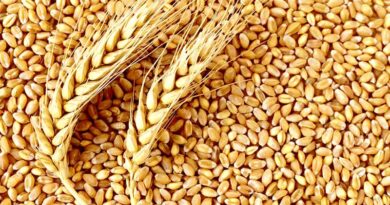 Govt of India spent 12 crore on Seed Village Programme (Beej Gram Yojana) in 2021-22