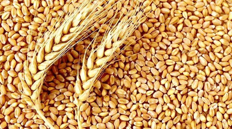 Govt of India spent 12 crore on Seed Village Programme (Beej Gram Yojana) in 2021-22