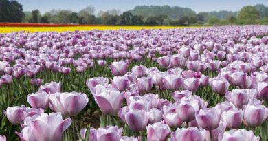 Syngenta acquires two bioinsecticides from Bionema