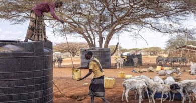 Horn of Africa: Swift aid for drought-affected farmers and herders needed to avoid a hunger crisis