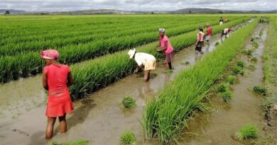 South-South Cooperation: FAO signs key agreement with Chinese Government