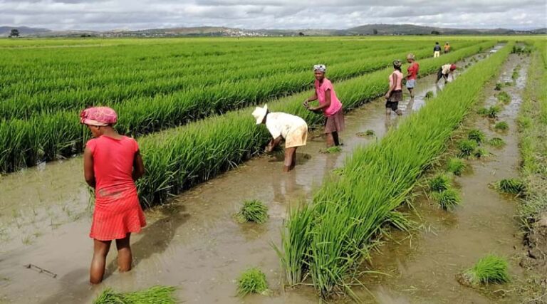 South-South Cooperation: FAO signs key agreement with Chinese Government