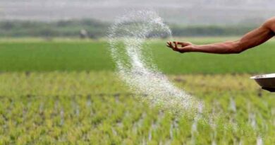 Shop sealed for black marketing of Urea