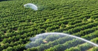 Hisar Will Organise Farmers Training Programme Through Video Conferencing
