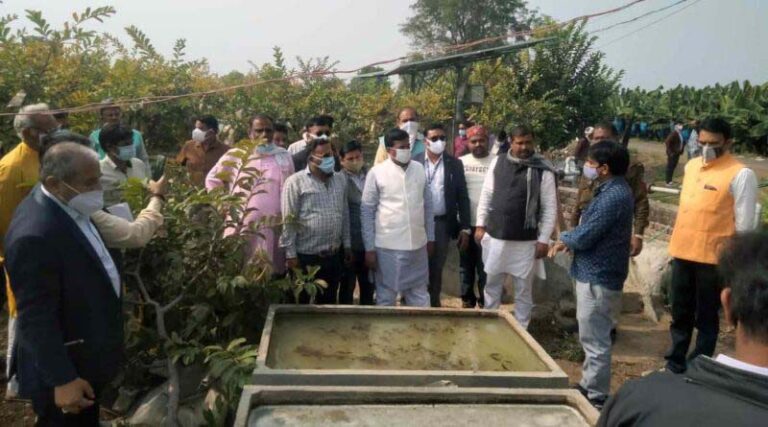Farmer Story: Guava worth Rs 13 lakh harvested from 5 acre plantation