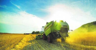 Government unveils plans to restore 300,000 hectares of habitat across England