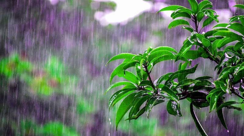 Chance of rain, thunderstorm and hailstorm in Madhya Pradesh