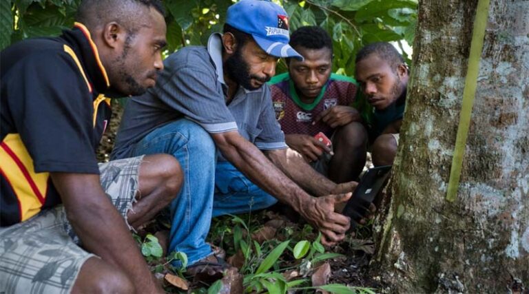 CABI to lead assessment of data across ACIAR research portfolio