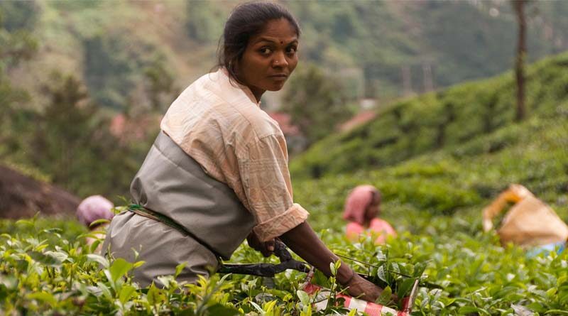 Budget 2022: Agriculture industry expects budget to tackle new age agriculture challenges