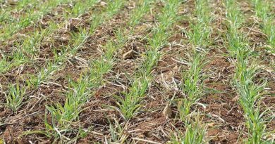 Indian government spent 50 crores for promotion of natural farming
