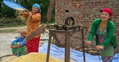 New direction in research for advancing gender-responsive maize breeding