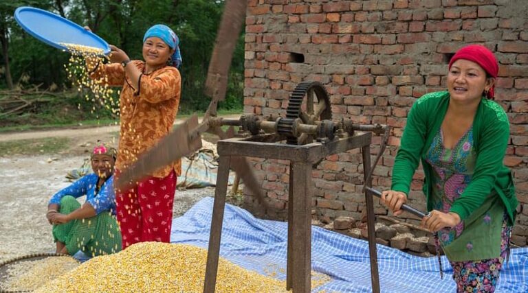 New direction in research for advancing gender-responsive maize breeding