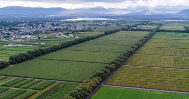 Improving soils to halt climate change ‘costing the earth’