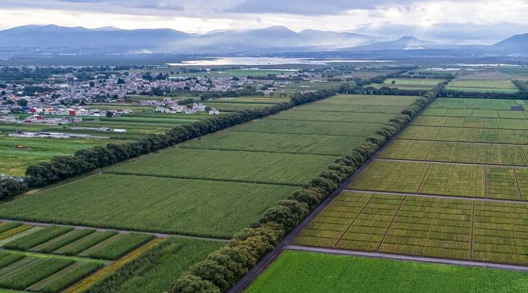 Plant breeding innovations
