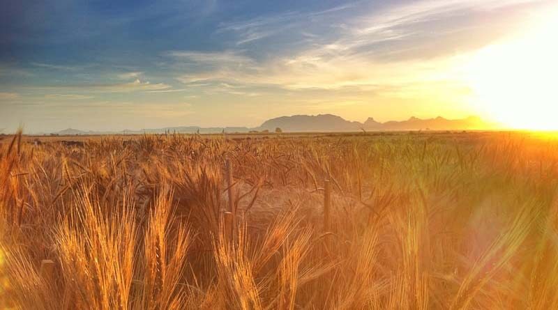 Haryana Chief Minister, Sh. Manohar Lal Said That The Campaign Being Run On A Large Scale For Agricultural Land Mapping Work