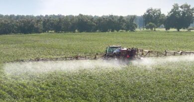 MagGrow System helps Fate Sparrow Farmer Improve Spray Coverage with Significant Chemical Savings
