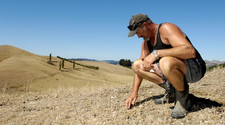 New weather tool set to be a game-changer for drought-struck growers