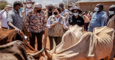 Drought in the Horn of Africa: New analyses flag mounting risks, need to support rural families