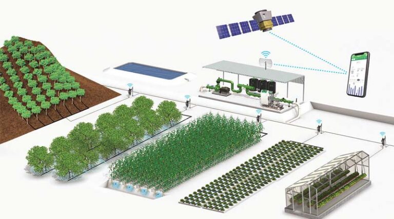 Rivulis solutions for hazelnut irrigation