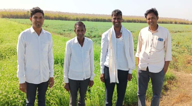 Farmers from Kathora village reaping good harvest from Kalonji (Black Cumin)