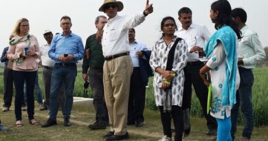 CIMMYT scientist receives award for weed research