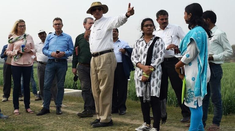 CIMMYT scientist receives award for weed research
