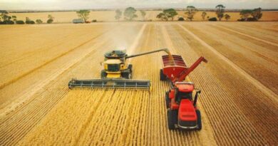 Strategy for Sustainable Agriculture and Rural Development in the 2021-2030 period has been approved