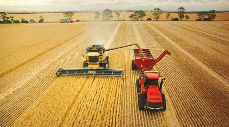 Australia: New research into the tall and short of stubble height impacts