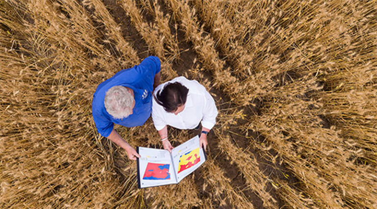 Paddock Practices: Use soil testing to determine fertiliser requirements in the Southern region