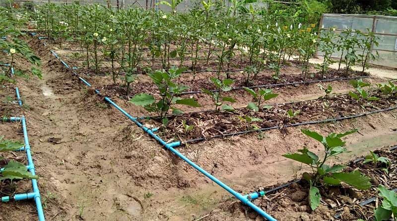 138 lakh ha covered under Micro Irrigation in India